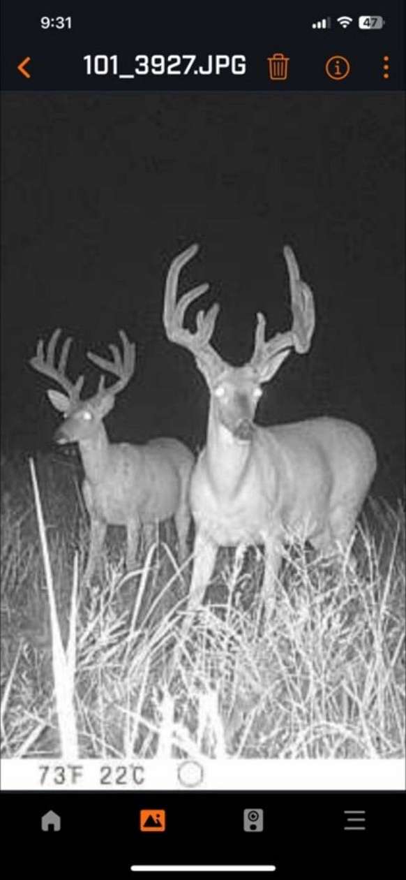 35 Acres of Land for Sale in Maud, Oklahoma