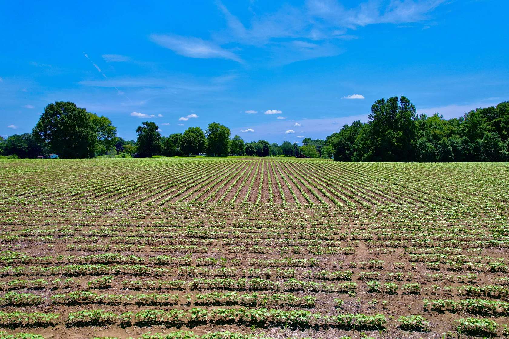 8.78 Acres of Land for Sale in Leoma, Tennessee