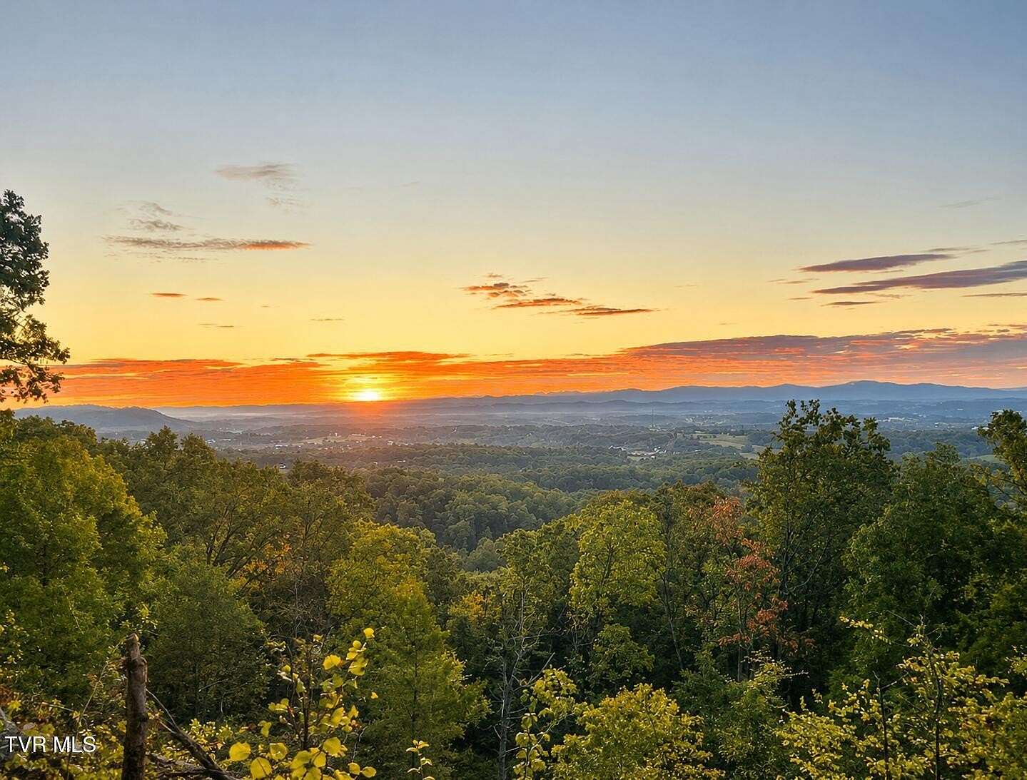 17 Acres of Recreational & Residential Land for Sale in Bulls Gap, Tennessee