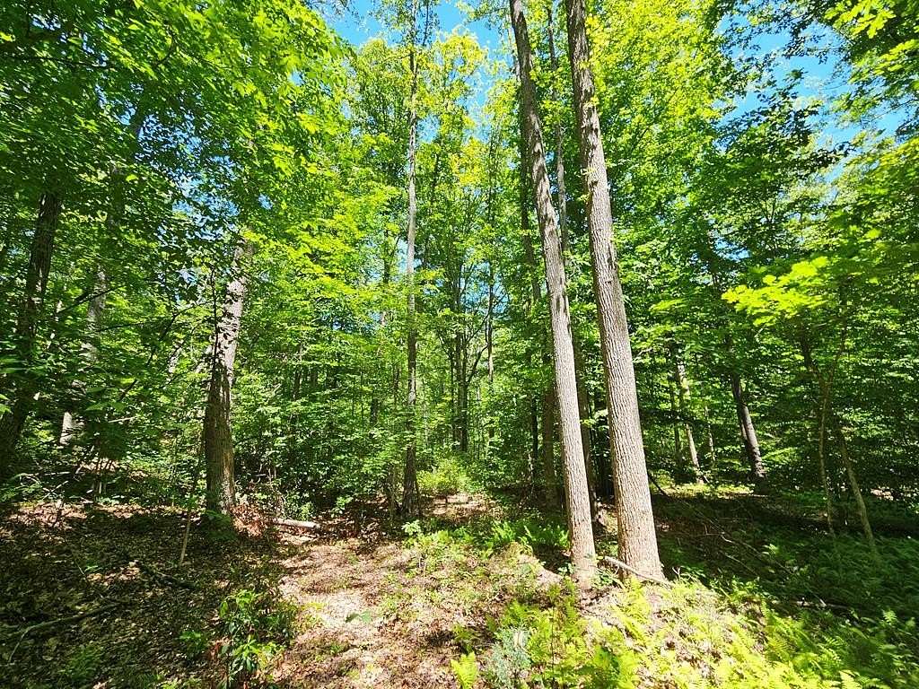 15 Acres of Land for Sale in Buckingham, Virginia