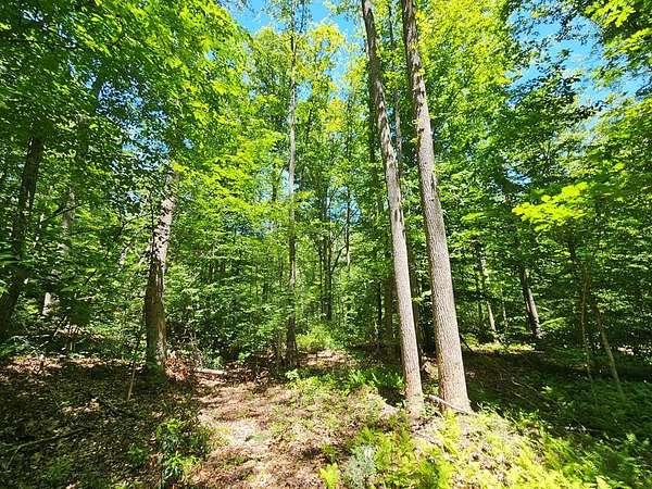 15 Acres of Land for Sale in Buckingham, Virginia