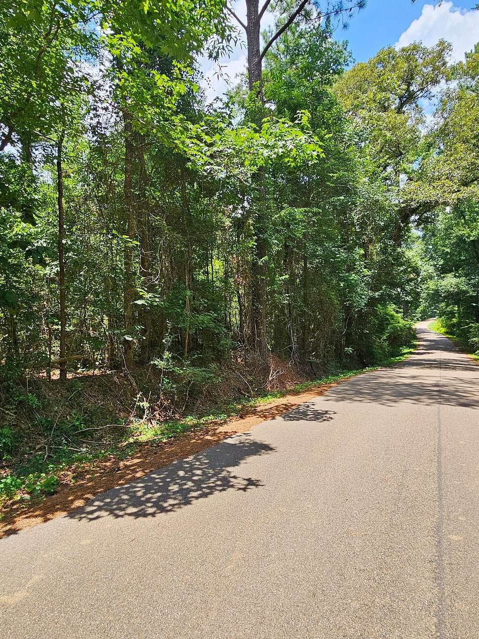 41 Acres of Land for Sale in Mount Olive, Mississippi
