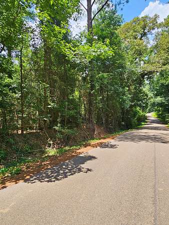 41 Acres of Land for Sale in Mount Olive, Mississippi