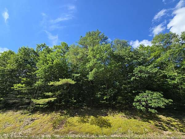 3.6 Acres of Land for Sale in Temple, Maine