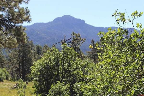 35.2 Acres of Recreational Land for Sale in Pagosa Springs, Colorado