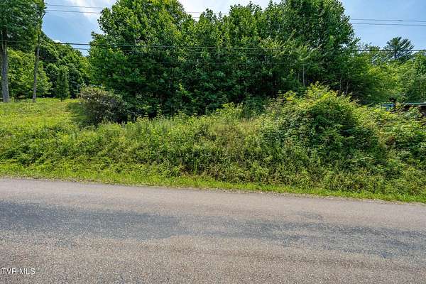 1 Acre of Residential Land for Sale in Butler, Tennessee