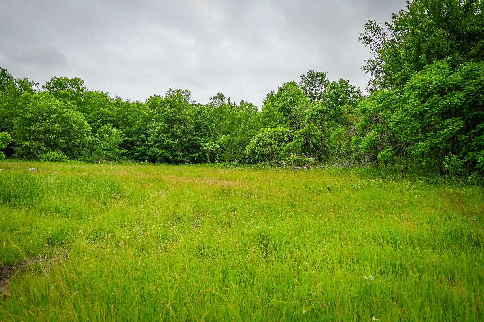 9.74 Acres of Residential Land for Sale in Bitely, Michigan