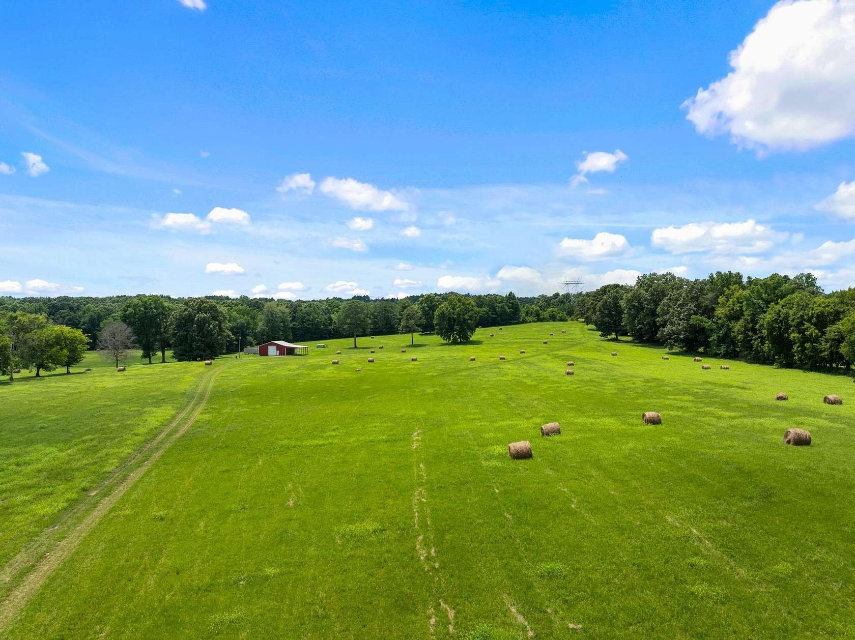 40 Acres of Agricultural & Residential Land for Sale in Leighton, Alabama