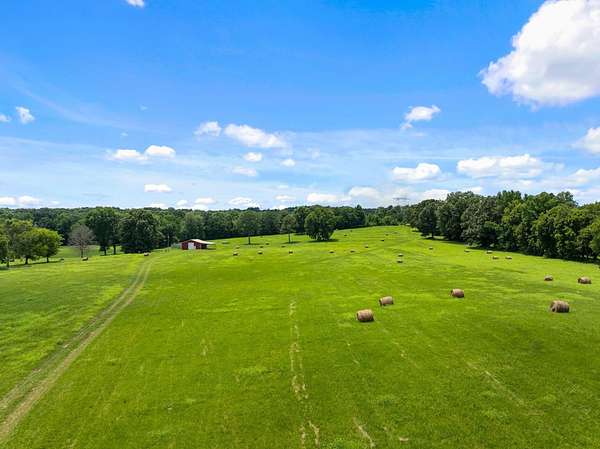 40 Acres of Agricultural & Residential Land for Sale in Leighton, Alabama