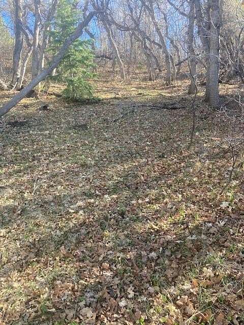 1 Acre of Land for Sale in Springdale, Utah