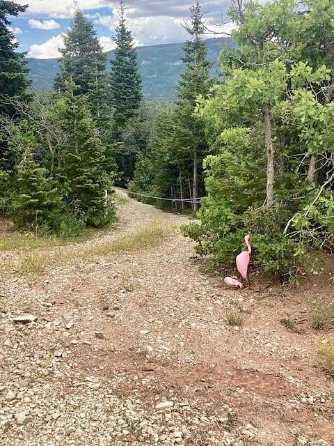 1 Acre of Land for Sale in Springdale, Utah