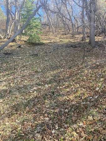 1 Acre of Land for Sale in Springdale, Utah