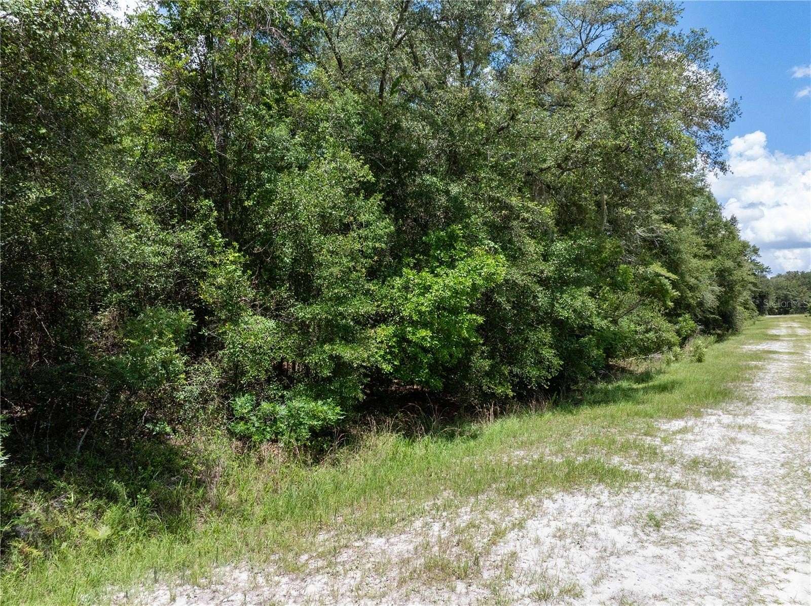 11.9 Acres of Land for Sale in Fort White, Florida