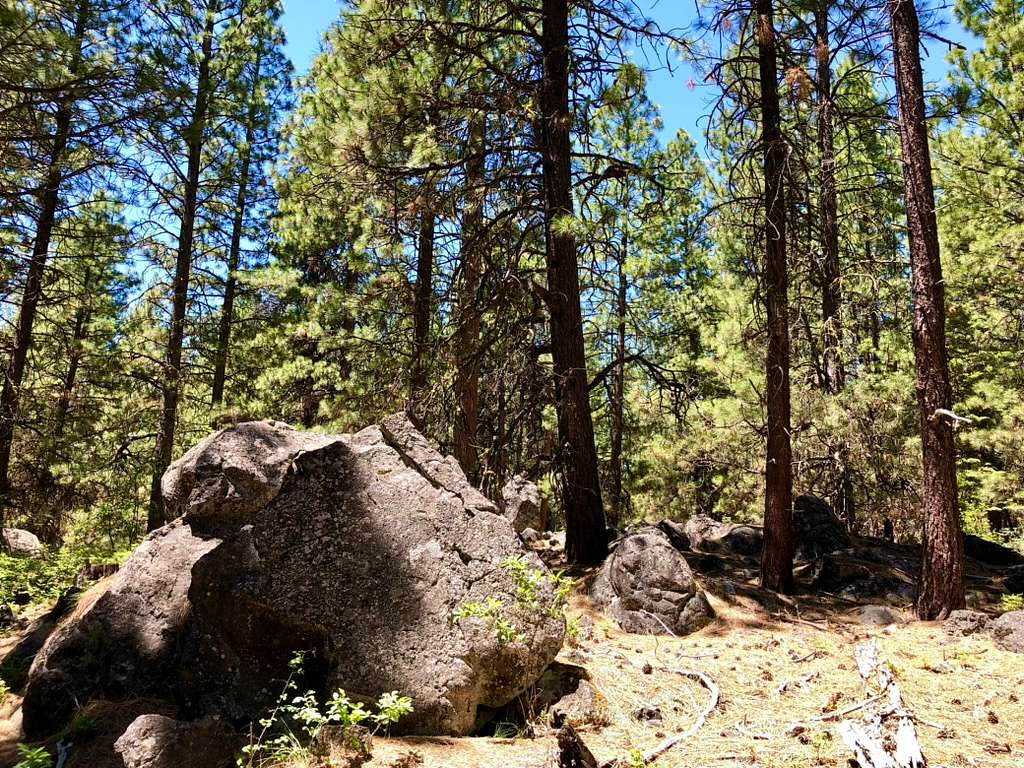 1.56 Acres of Residential Land for Sale in Bonanza, Oregon