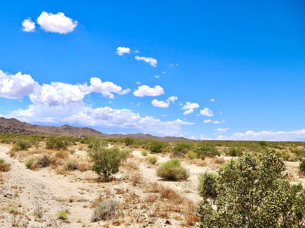 2.5 Acres of Residential Land for Sale in Joshua Tree, California