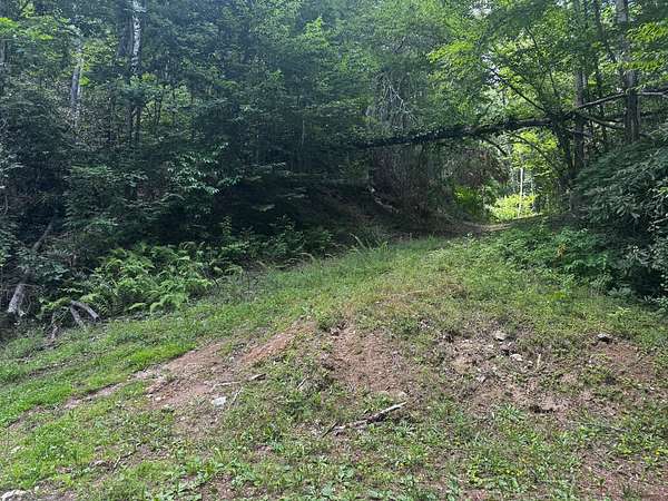 64.3 Acres of Recreational & Residential Land for Sale in Newland, North Carolina