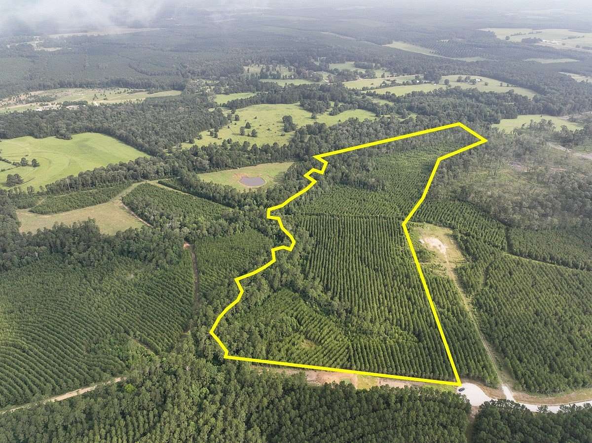 38 Acres of Recreational & Residential Land for Sale in Livingston, Texas