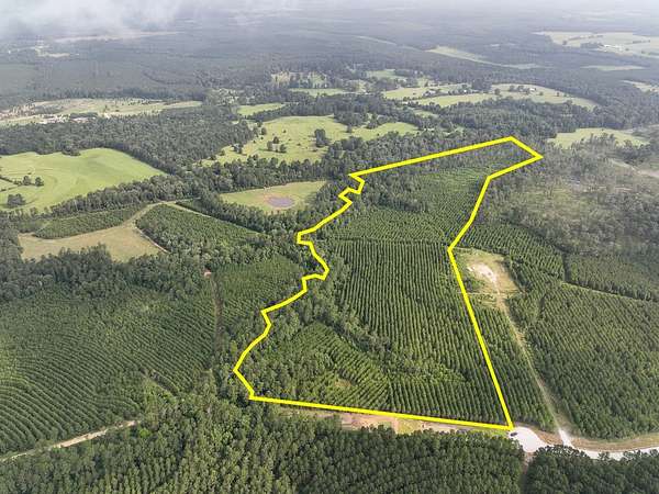 38 Acres of Recreational & Residential Land for Sale in Livingston, Texas