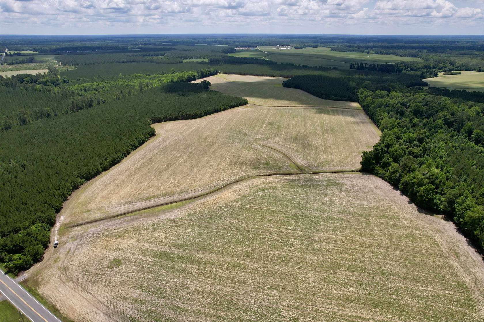 83 Acres of Land for Sale in Andrews, South Carolina