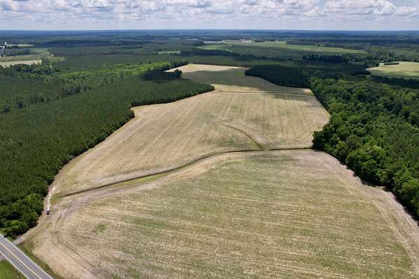 83 Acres of Land for Sale in Andrews, South Carolina