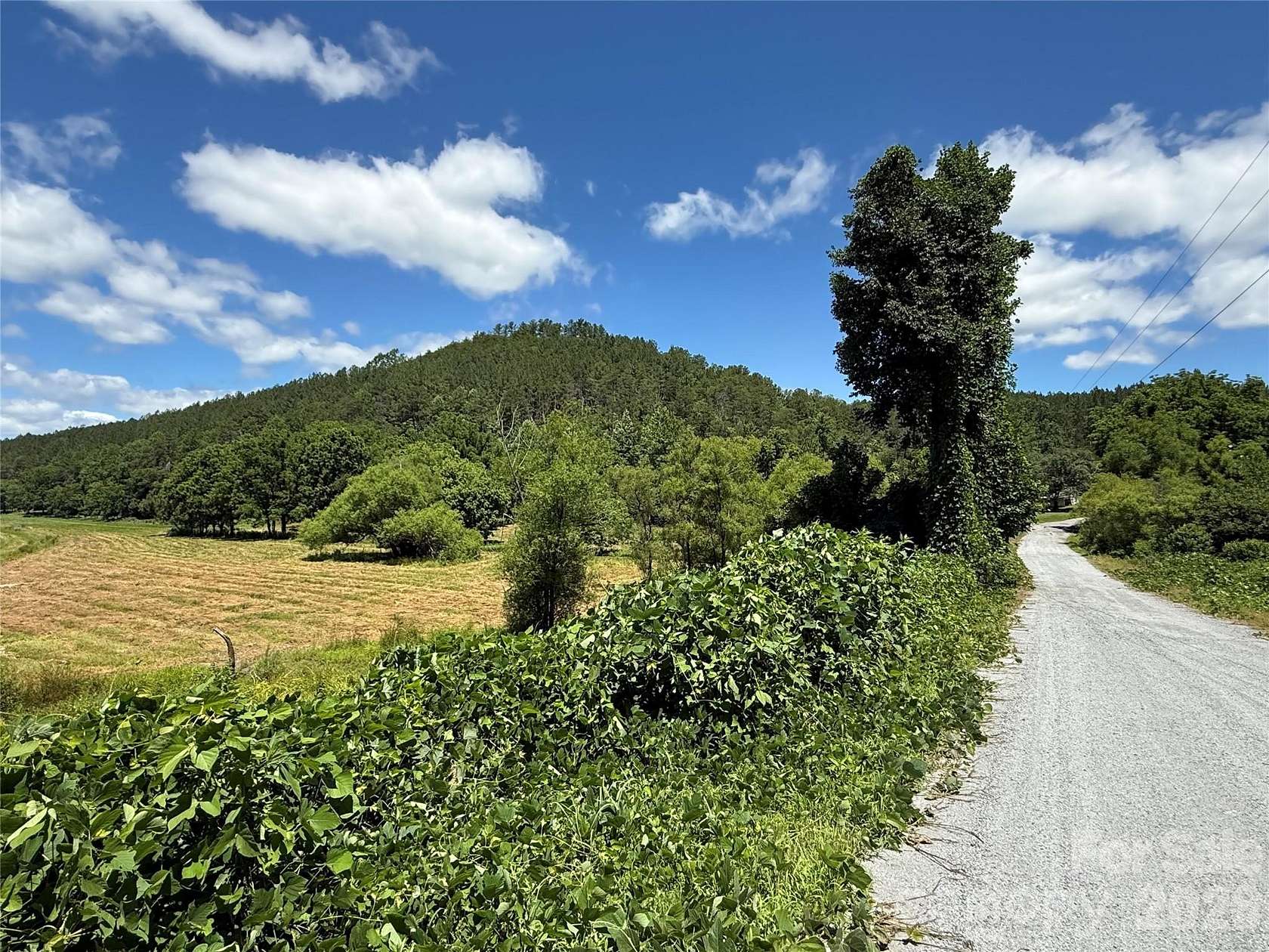 652 Acres of Recreational & Residential Land for Sale in Rutherfordton, North Carolina