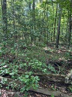 25 Acres of Land for Sale in Grandview, Tennessee