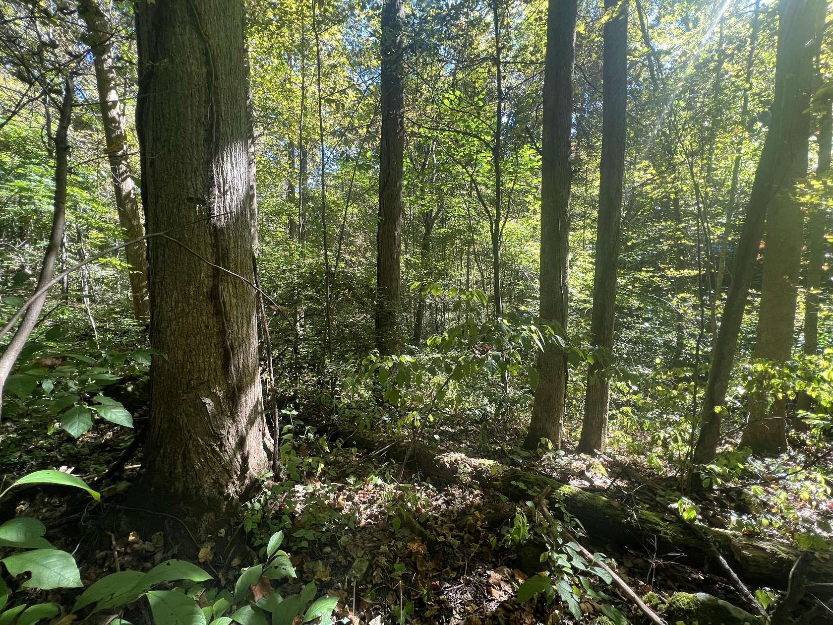2.25 Acres of Residential Land for Sale in Slade, Kentucky