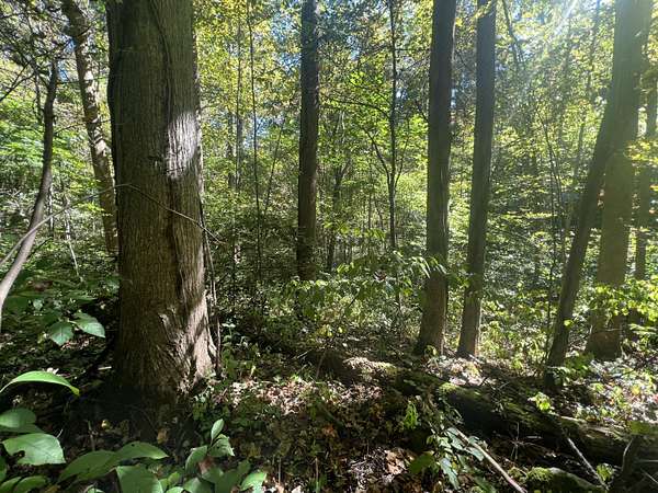 2.25 Acres of Residential Land for Sale in Slade, Kentucky