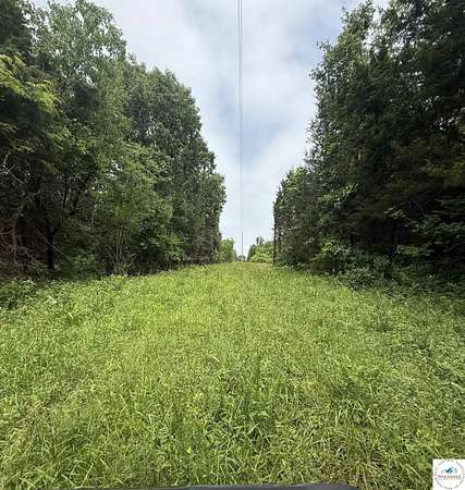51.4 Acres of Recreational Land with Home for Sale in Deepwater, Missouri