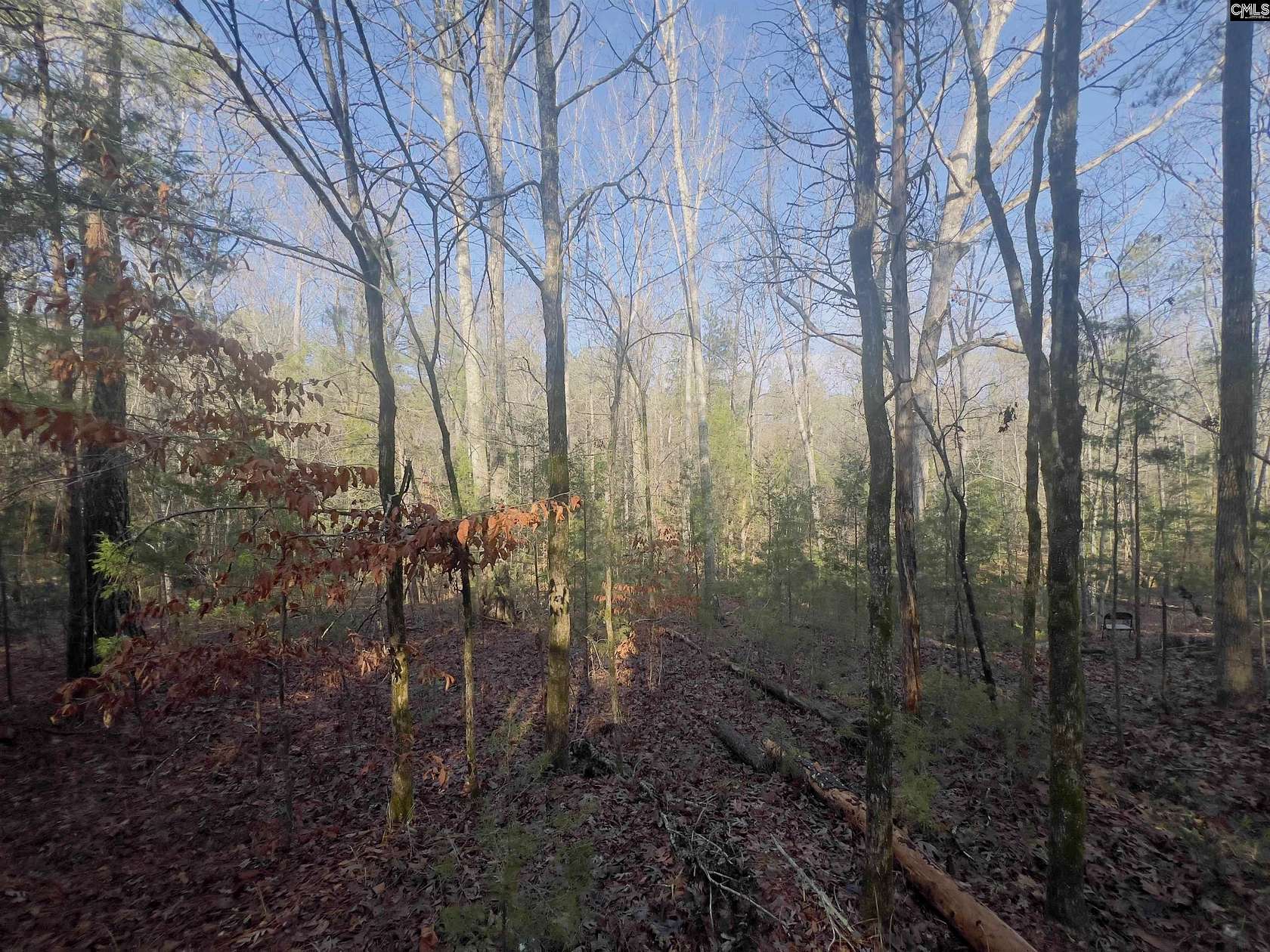 6.2 Acres of Residential Land for Sale in Blythewood, South Carolina