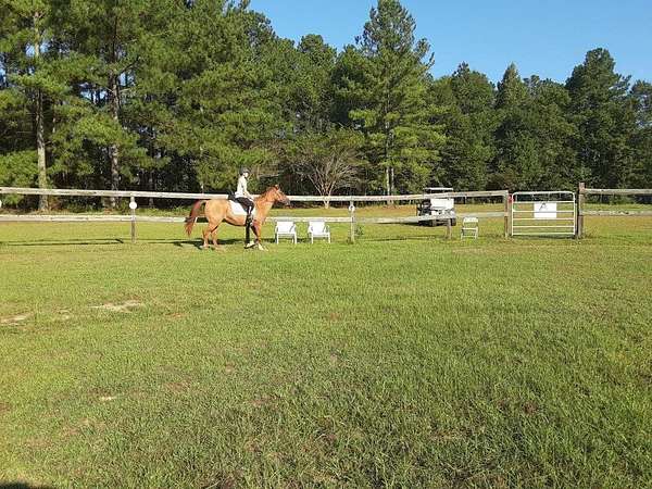 20.2 Acres of Agricultural & Residential Land for Sale in Cottonwood, Alabama