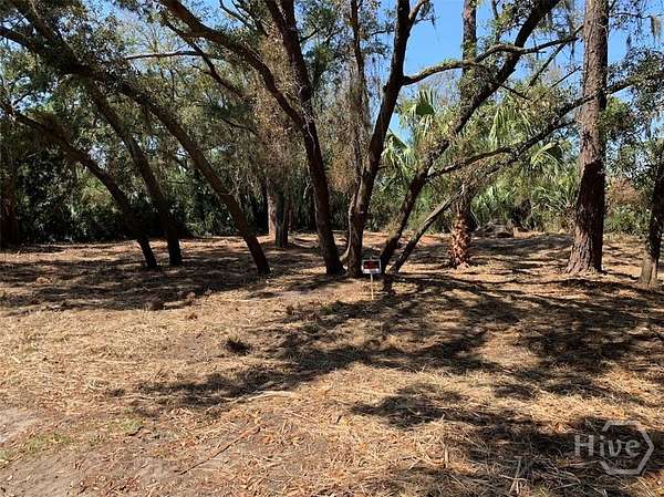 0.28 Acres of Residential Land for Sale in Tybee Island, Georgia