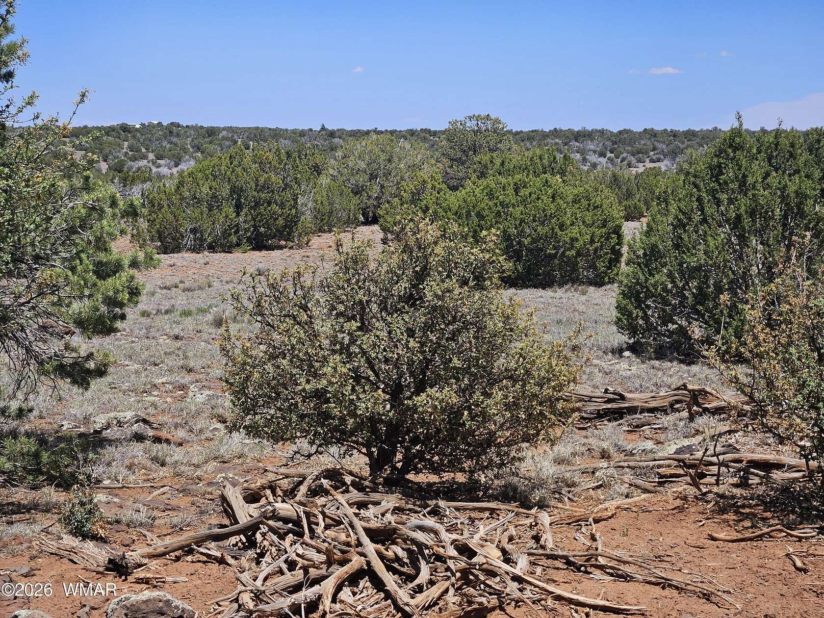 39.3 Acres of Recreational Land for Sale in Concho, Arizona