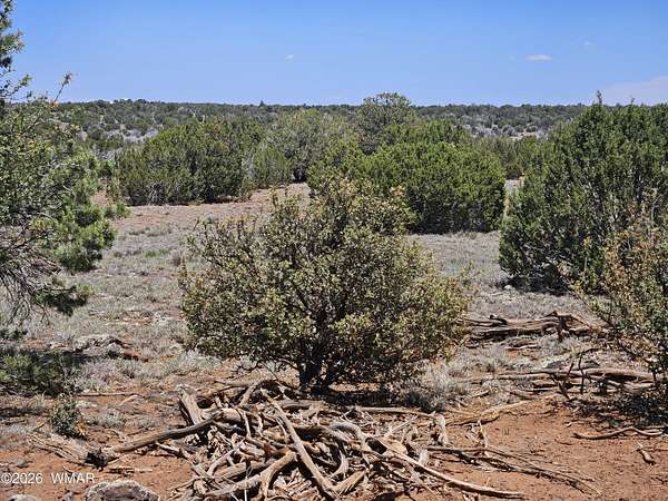 39.3 Acres of Recreational Land for Sale in Concho, Arizona