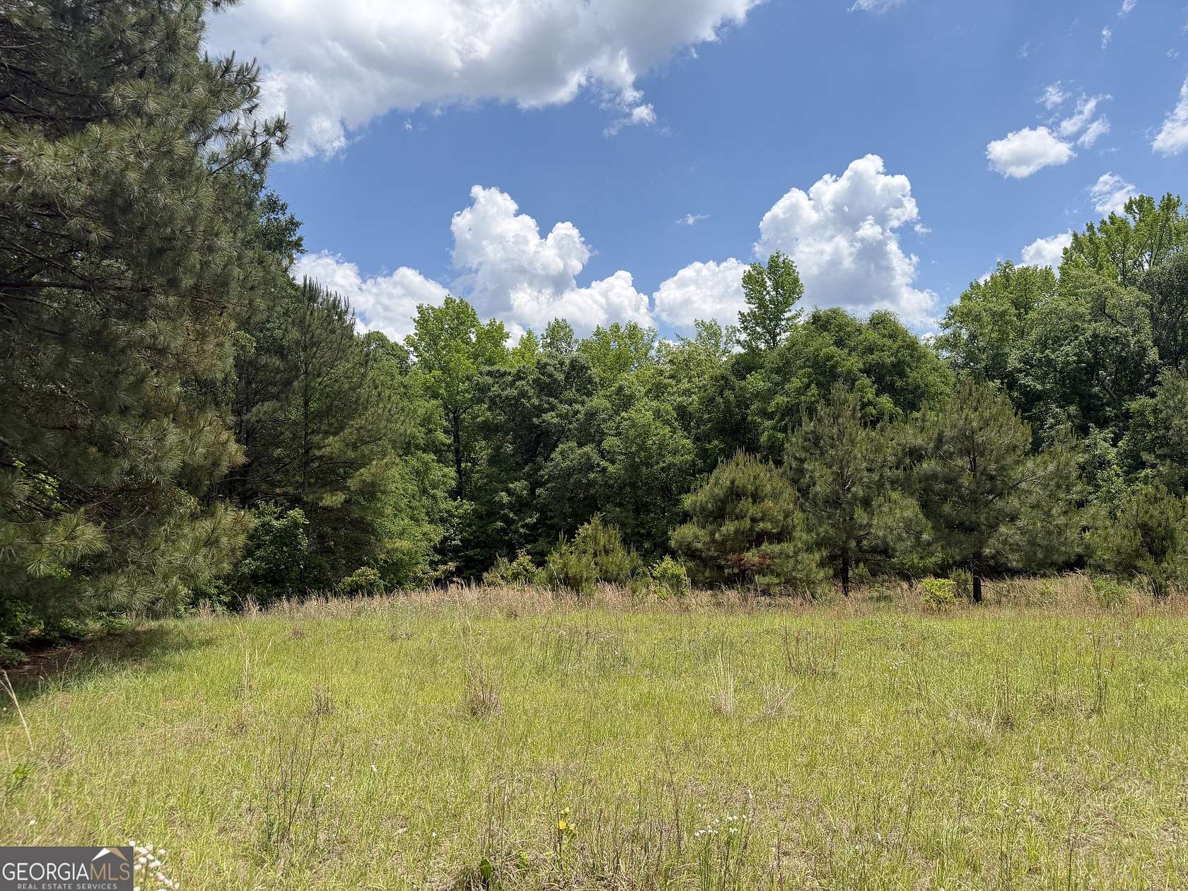 18 Acres of Recreational & Residential Land for Sale in Toomsboro, Georgia