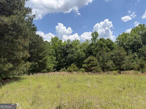 18 Acres of Recreational & Residential Land for Sale in Toomsboro, Georgia