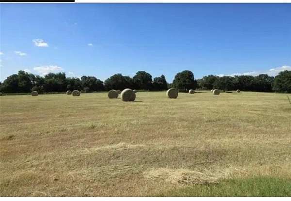31.6 Acres of Land with Home for Sale in Bridgeport, Texas