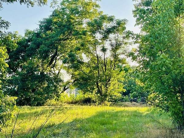 1.17 Acres of Mixed-Use Land for Sale in Mineola, Texas