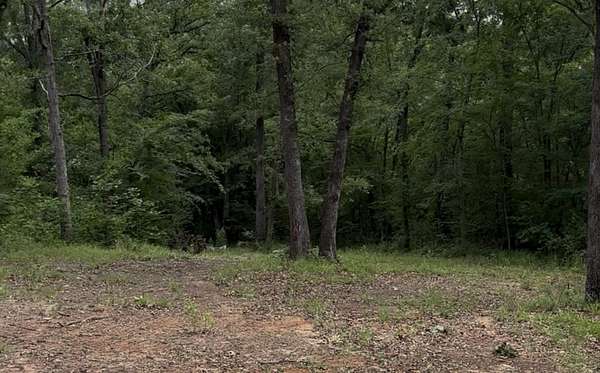0.59 Acres of Residential Land for Sale in Grand Saline, Texas