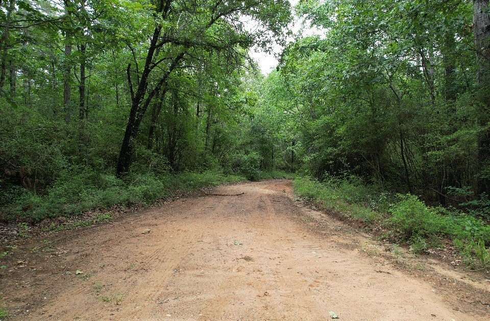 122 Acres of Recreational Land for Sale in Tenaha, Texas