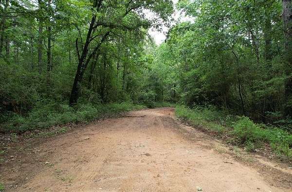 122 Acres of Recreational Land for Sale in Tenaha, Texas