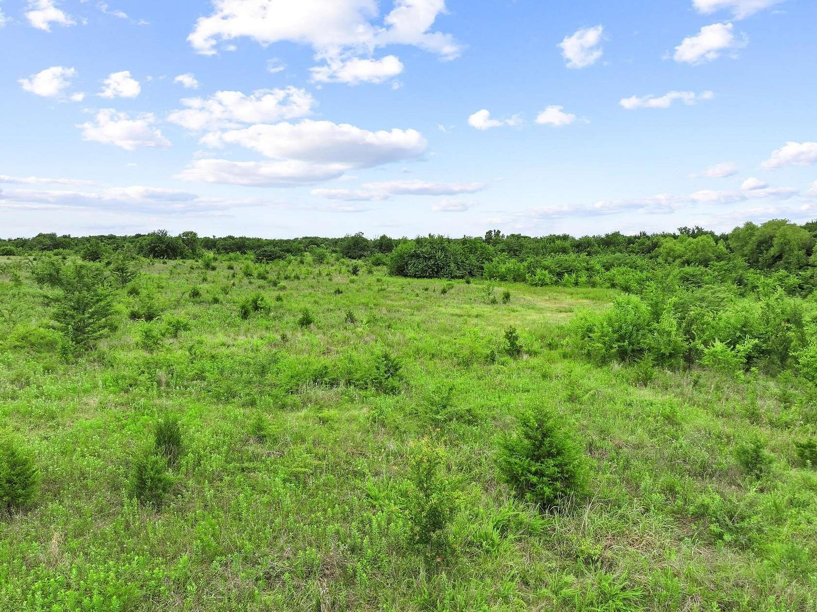 41.6 Acres of Recreational & Residential Land for Sale in Paris, Texas