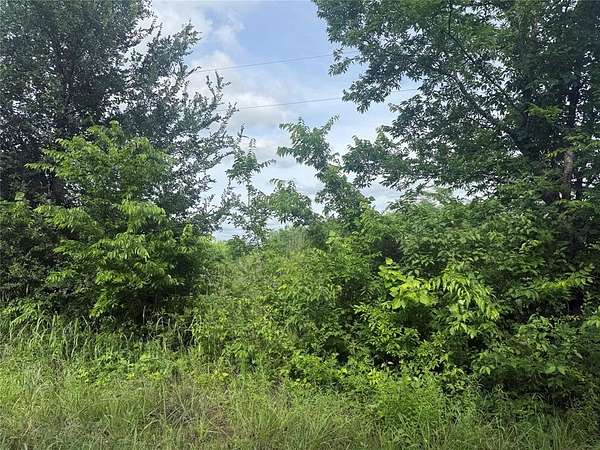 41.6 Acres of Recreational & Residential Land for Sale in Paris, Texas