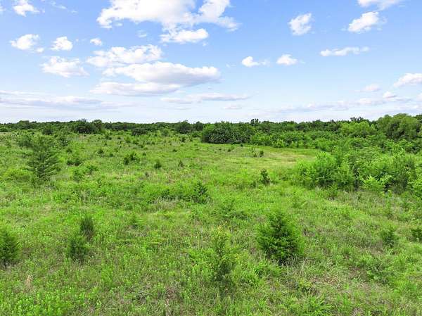 41.6 Acres of Recreational & Residential Land for Sale in Paris, Texas