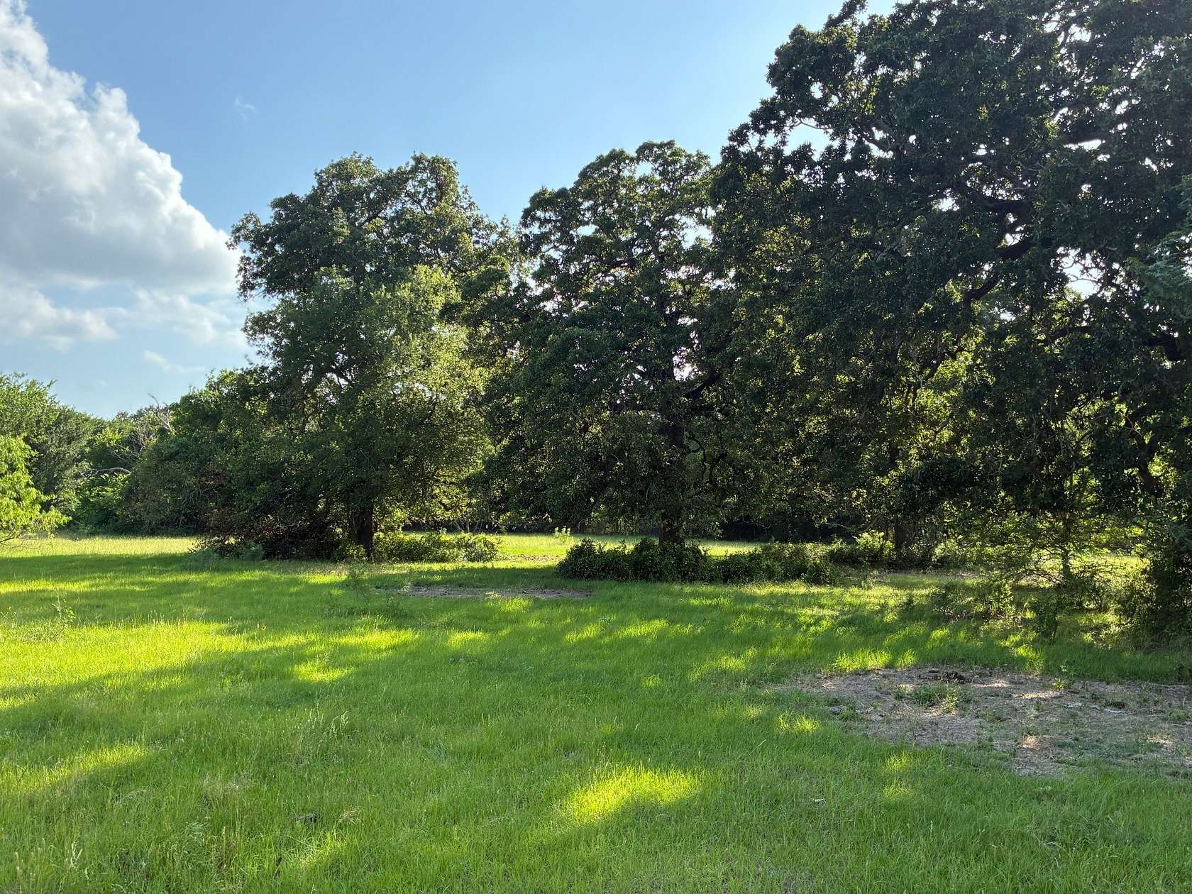 30.2 Acres of Land for Sale in Streetman, Texas
