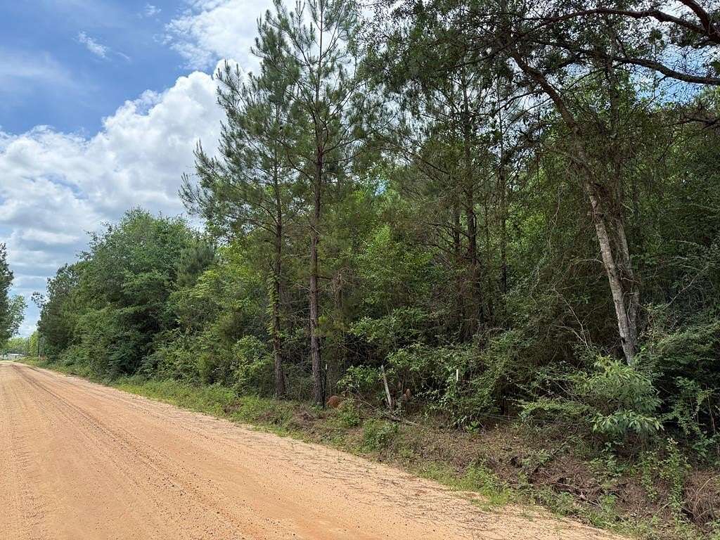 64.5 Acres of Recreational & Residential Land for Sale in Bainbridge, Georgia