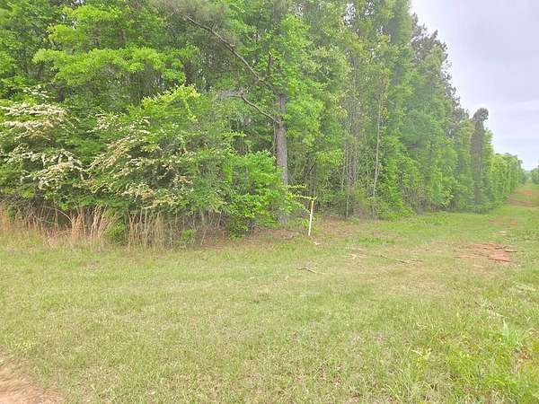 13.3 Acres of Land for Sale in Shiloh, Georgia
