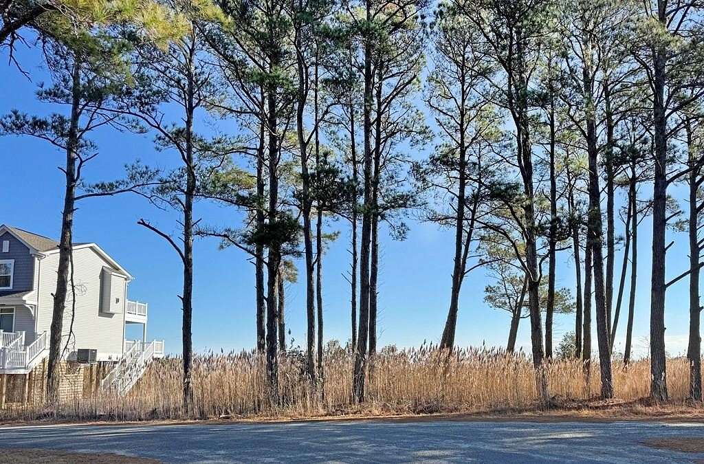 0.2 Acres of Residential Land for Sale in Greenbackville, Virginia