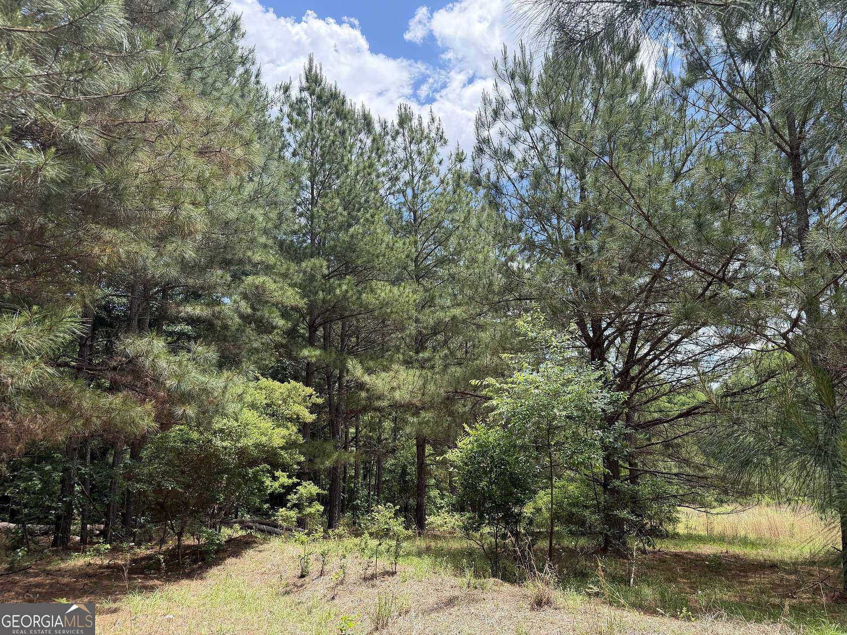 12 Acres of Recreational & Residential Land for Sale in Toomsboro, Georgia