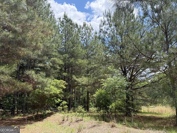 12 Acres of Recreational & Residential Land for Sale in Toomsboro, Georgia